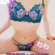 ヒメ日記 2025/11/01 15:06 投稿 ねね チューリップ福井別館