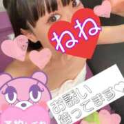 ヒメ日記 2025/11/20 19:14 投稿 ねね チューリップ福井別館