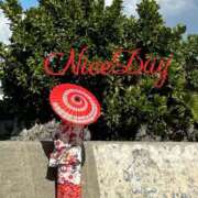 ヒメ日記 2024/12/21 22:04 投稿 あやめ チューリップ福井別館