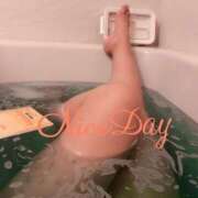 ヒメ日記 2024/12/26 01:14 投稿 あやめ チューリップ福井別館