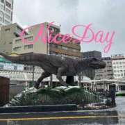 ヒメ日記 2024/12/28 10:44 投稿 あやめ チューリップ福井別館