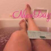 ヒメ日記 2024/12/31 00:04 投稿 あやめ チューリップ福井別館