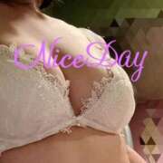 ヒメ日記 2025/01/02 10:12 投稿 あやめ チューリップ福井別館