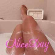 ヒメ日記 2025/01/07 09:04 投稿 あやめ チューリップ福井別館