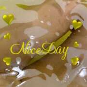 ヒメ日記 2025/04/04 08:14 投稿 あやめ チューリップ福井別館