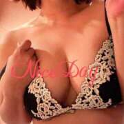 ヒメ日記 2025/05/15 21:44 投稿 あやめ チューリップ福井別館