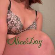 ヒメ日記 2025/05/16 11:04 投稿 あやめ チューリップ福井別館