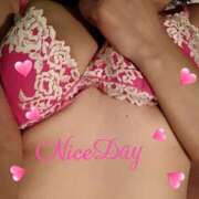 ヒメ日記 2025/05/17 10:43 投稿 あやめ チューリップ福井別館