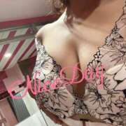 ヒメ日記 2025/05/18 09:32 投稿 あやめ チューリップ福井別館