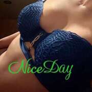 ヒメ日記 2025/05/22 09:14 投稿 あやめ チューリップ福井別館