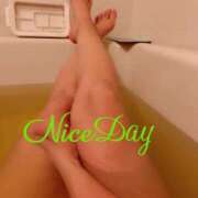 ヒメ日記 2025/05/24 07:04 投稿 あやめ チューリップ福井別館