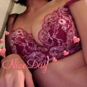 ヒメ日記 2025/07/18 15:04 投稿 あやめ チューリップ福井別館