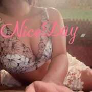 ヒメ日記 2025/07/21 12:05 投稿 あやめ チューリップ福井別館