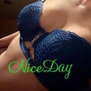 ヒメ日記 2025/07/27 11:19 投稿 あやめ チューリップ福井別館