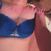 ヒメ日記 2025/07/27 14:12 投稿 あやめ チューリップ福井別館