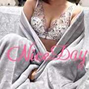 ヒメ日記 2025/09/14 08:54 投稿 あやめ チューリップ福井別館