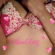 ヒメ日記 2025/09/18 16:54 投稿 あやめ チューリップ福井別館