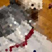 ヒメ日記 2025/09/29 09:04 投稿 あやめ チューリップ福井別館