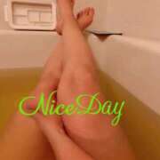 ヒメ日記 2025/11/23 07:04 投稿 あやめ チューリップ福井別館