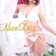 ヒメ日記 2025/11/25 13:14 投稿 あやめ チューリップ福井別館