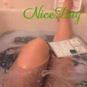 ヒメ日記 2025/11/26 07:04 投稿 あやめ チューリップ福井別館