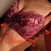 ヒメ日記 2025/11/26 15:24 投稿 あやめ チューリップ福井別館