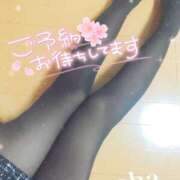 ヒメ日記 2024/12/28 18:34 投稿 このは チューリップ福井別館