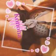 ヒメ日記 2024/12/31 09:04 投稿 このは チューリップ福井別館