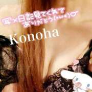 ヒメ日記 2025/01/15 09:48 投稿 このは チューリップ福井別館