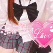 ヒメ日記 2025/01/17 09:20 投稿 このは チューリップ福井別館