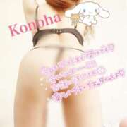 ヒメ日記 2025/01/18 09:31 投稿 このは チューリップ福井別館