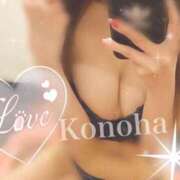 ヒメ日記 2025/02/22 18:00 投稿 このは チューリップ福井別館