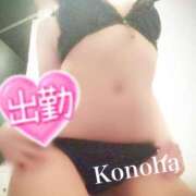 ヒメ日記 2025/02/25 10:10 投稿 このは チューリップ福井別館