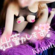 ヒメ日記 2025/06/07 09:20 投稿 このは チューリップ福井別館