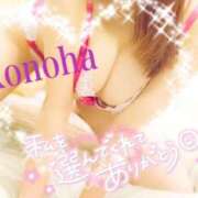 ヒメ日記 2025/08/11 17:24 投稿 このは チューリップ福井別館