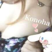 ヒメ日記 2025/08/13 15:44 投稿 このは チューリップ福井別館