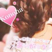 ヒメ日記 2025/08/17 09:14 投稿 このは チューリップ福井別館