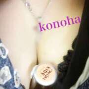 ヒメ日記 2025/11/08 14:40 投稿 このは チューリップ福井別館