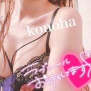 ヒメ日記 2025/11/11 18:28 投稿 このは チューリップ福井別館