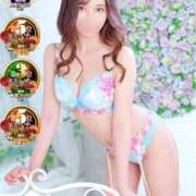 ヒメ日記 2025/04/26 18:19 投稿 るか チューリップ福井本館