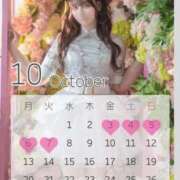 ヒメ日記 2025/10/05 17:34 投稿 るか チューリップ福井本館