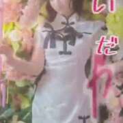 ヒメ日記 2025/10/08 19:34 投稿 るか チューリップ福井本館