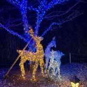 ヒメ日記 2024/12/28 15:16 投稿 れいか【梅田堂山女学院】 梅田堂山女学院