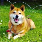 ヒメ日記 2025/02/19 12:20 投稿 れいか【梅田堂山女学院】 梅田堂山女学院