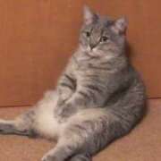 ヒメ日記 2025/02/22 11:39 投稿 れいか【梅田堂山女学院】 梅田堂山女学院