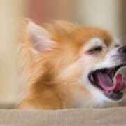 ヒメ日記 2025/03/07 18:35 投稿 れいか【梅田堂山女学院】 梅田堂山女学院