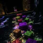 ヒメ日記 2025/03/15 11:48 投稿 れいか【梅田堂山女学院】 梅田堂山女学院