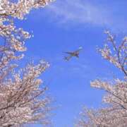 ヒメ日記 2025/03/21 12:57 投稿 れいか【梅田堂山女学院】 梅田堂山女学院