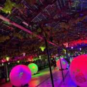 ヒメ日記 2025/03/22 12:30 投稿 れいか【梅田堂山女学院】 梅田堂山女学院