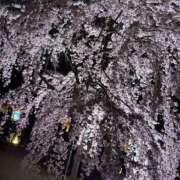 ヒメ日記 2025/04/02 20:36 投稿 れいか【梅田堂山女学院】 梅田堂山女学院